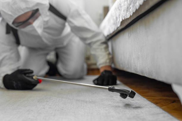 Professional Pest Control technician working in Baylor County County, TX